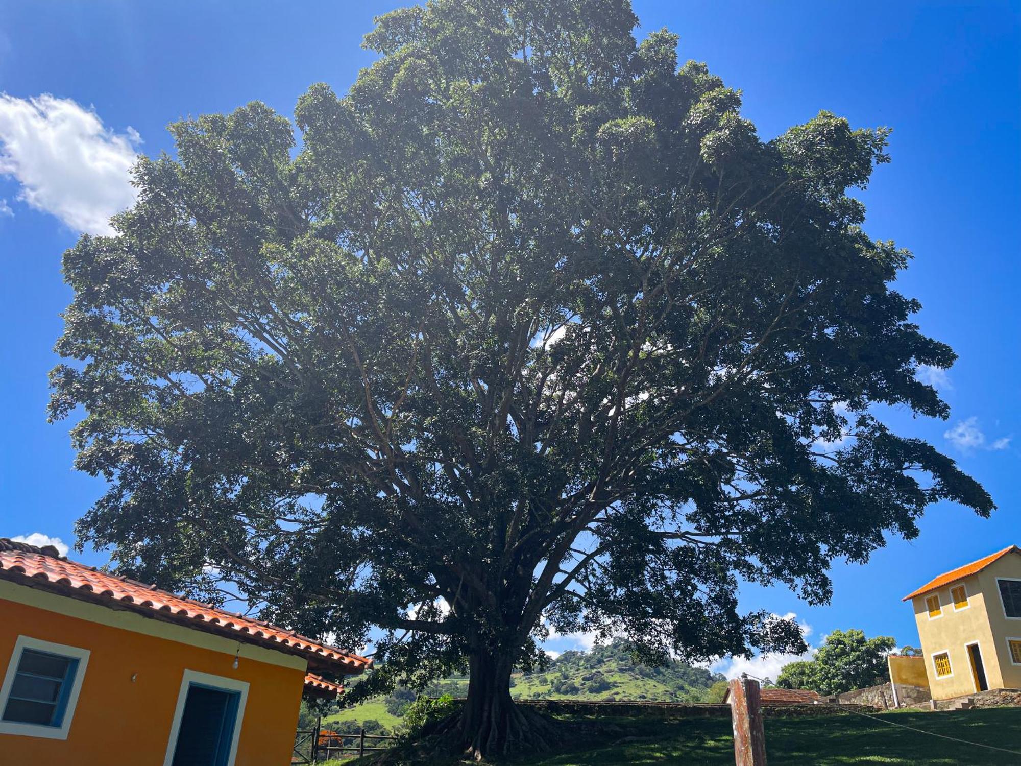 Fortuna Casas De Campo Socorro  Exterior photo